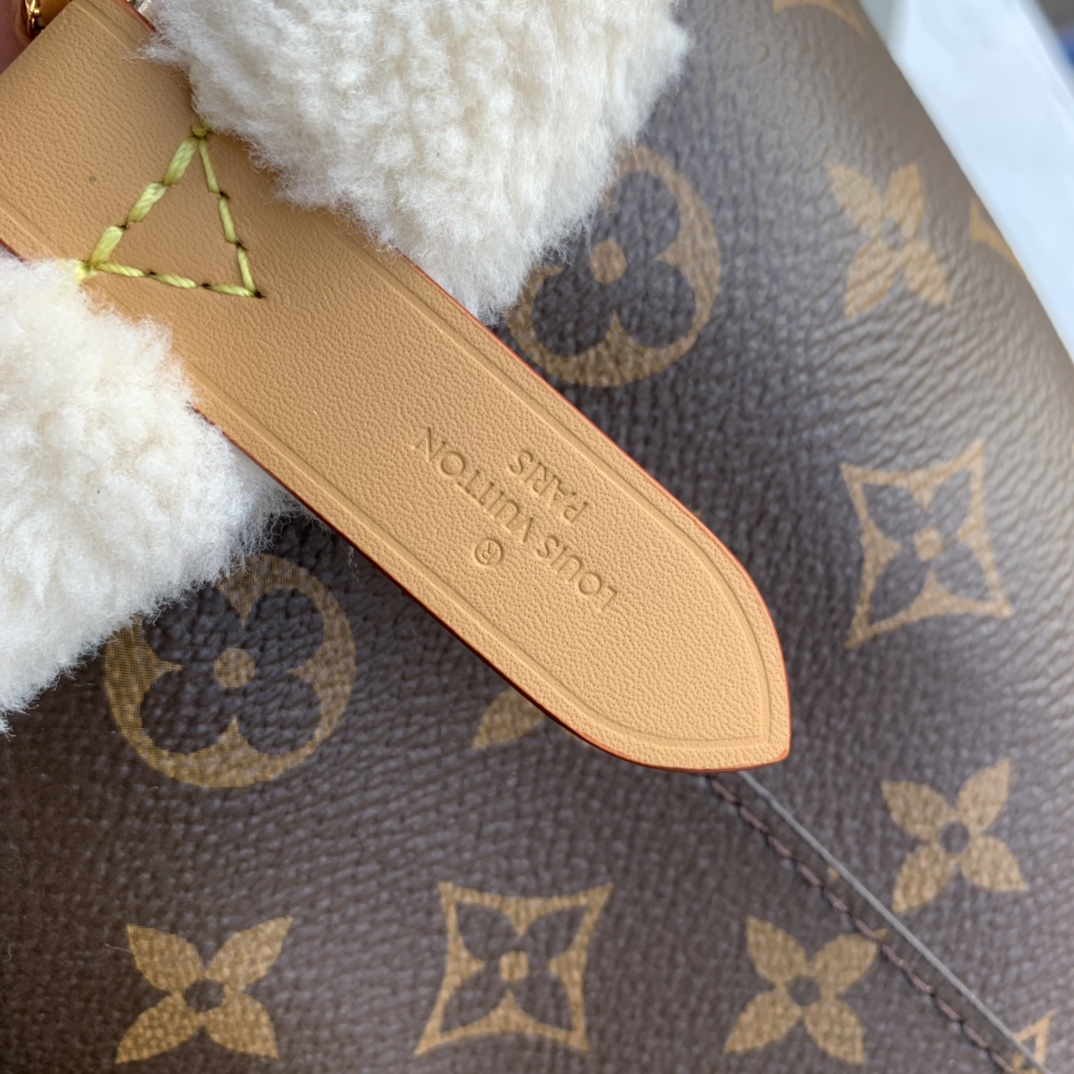 LV Bucket Bags